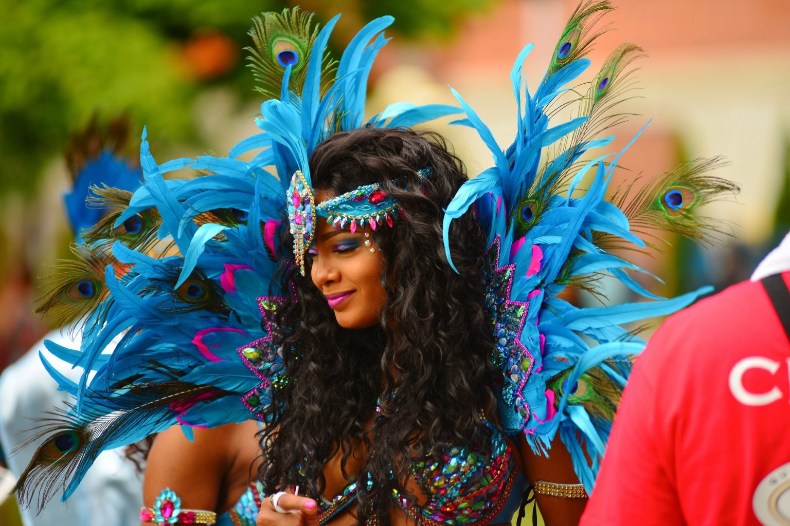 This year’s Toronto Caribbean Carnival has been cancelled due to the