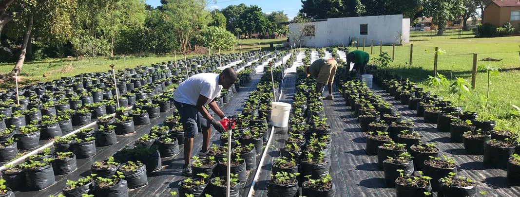 JAMAICAN COUPLE GRADUATES 28 FLORIDA VETERANS FROM SMALL FARM & BUSINESS INCUBATOR PROGRAM  